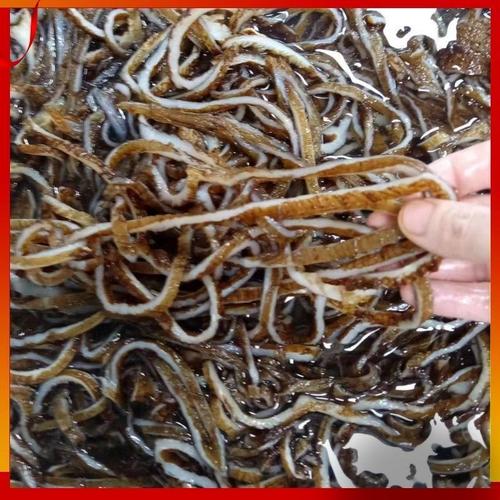充分利用 让牛副产品的经济价值与可持续性并驾齐驱